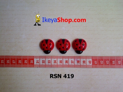 rsn 419  large2